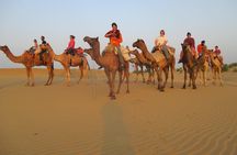 3 Days / 2 Nights Camel Safari