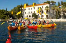 Half-Day Split Sea Kayak Adventure