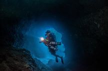 Night Dive