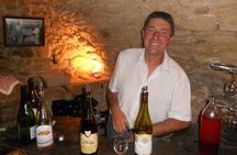 Beaujolais Wine Discovery - Half Day - Small group tour from Lyon