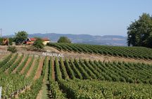 Beaujolais & Perouges Medieval Town (9:00 am to 5:15 pm - Small Group Tour Lyon