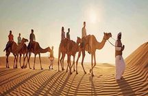 Morning Desert Safari With 1 Hour Camel Trekking & Sandboarding