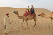 Morning Desert Safari With 1 Hour Camel Trekking & Sandboarding