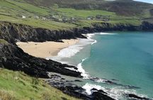 Dingle Town & Peninsula Private Chauffeur Driven Day Tour From Killarney Luxury 