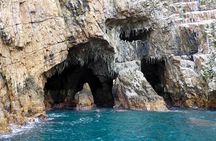 Knysna Heads & Lagoon Adventure Tour