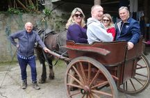 Dingle Town & Peninsula Private Chauffeur Driven Day Tour From Killarney Luxury 
