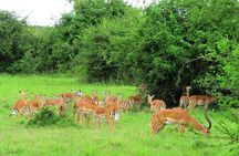 2 Days Wildlife Safaris at Lake Mburo National Park