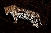 2 Days Wildlife Safaris at Lake Mburo National Park