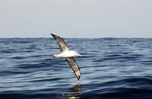 Knysna Marine Life & Garden Route Coastline Experience