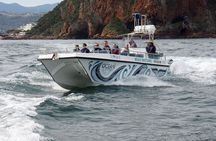 Knysna Marine Life & Garden Route Coastline Experience