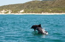Knysna Marine Life & Garden Route Coastline Experience