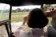 Kumana National Park Wildlife Safari