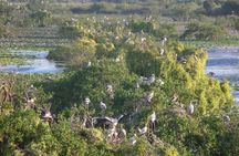 Kumana National Park Wildlife Safari