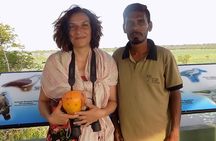 Kumana Wild Trails - Half Day Safari 