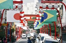 5-hour Private Tour Of São Paulo With Its Main Sights – Optional Airport Pickup