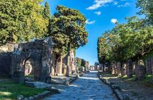 Skip the Line Private Pompeii Guided Tour