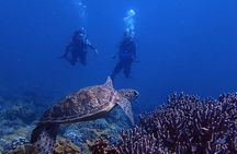 Guam's Best Beach Diving! Beginner and Advanced Dives