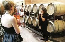 Taste of Fredericksburg Small-Group Wine Tour from San Antonio