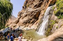 Atlas Mountains Full-Day Private Tour from Marrakech