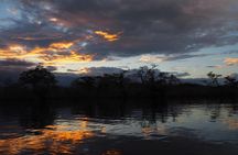 4-Day Cuyabeno Amazon Adventure: Bird Watching, Wildlife, Hiking, Kayaking