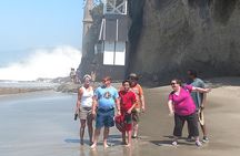 Orange County Coastal Sightseeing Tour