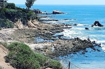 Orange County Coastal Sightseeing Tour