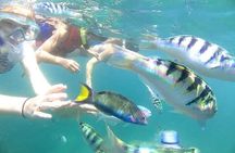 Gate Heaven Tirta Gangga With Snorkeling Private Guided Tour 