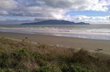 3-Day Wellington to Auckland Tour