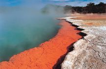 3-Day Wellington to Auckland Tour