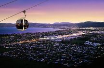 3-Day Wellington to Auckland Tour