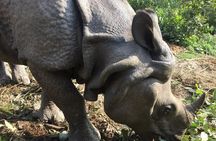 Wildlife Adventure in Chitwan Nepal