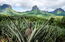 Private Morning Moorea 4WD Tour with Champagne