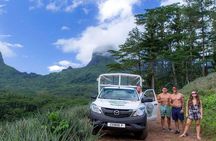 Moorea 4WD Tour Inc. Belvedere, Pineapple Farm, Magic Mountain...
