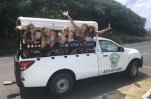 Moorea 4WD Tour Inc. Belvedere, Pineapple Farm, Magic Mountain...