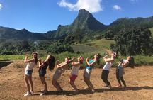Moorea 4WD Tour: Magic Mountain, Belvedere, Pineapple Road & More
