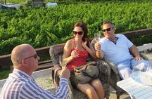 Etyek Private Half-Day Wine Tasting Tour from Budapest