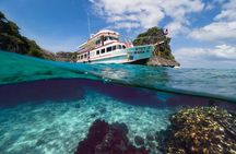 PADI Discover Scuba Diving Experience Full Day Trip