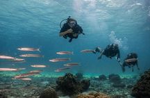 PADI Discover Scuba Diving Experience Full Day Trip