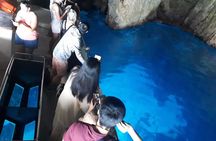 Zakynthos : One day small group tour to Navagio beach Blue Caves & top view 