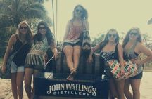 Rum Reggae and Rhythms Private Tour (minimum of 6 people)