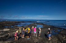 Seymour North Island & Las Bachas Full-Day Tour