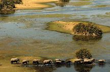 3 Day Chobe National Park Camping Tour