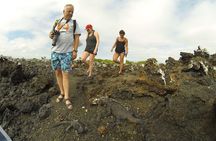 9-Day Colonial Quito & Galapagos Island Hopping