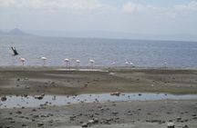 Arba Minch, Dorze Tribe, Konso, and Awasa Private 4 Days Tour from Addis Ababa
