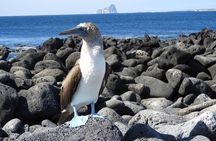 8-Day Galapagos Multisport: San Cristobal, Isabela and Santa Cruz