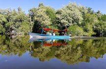 Wild & Free: Lagoon Boat, Beach Horseback, Crocs & Turtle Release