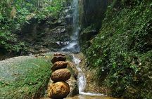 Tijuca Forest Hiking Tour including Waterfalls