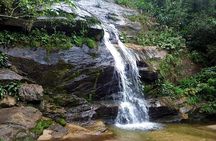 Tijuca Forest Hiking Tour including Waterfalls