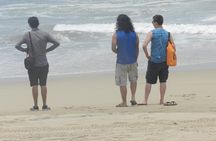  3 Palos Lagoon AfroMex Village Turtle Release & Croc Farm Visit
