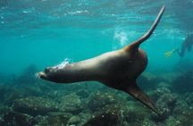 12-Day Galapagos Superior Adventure (Tourist Class)
